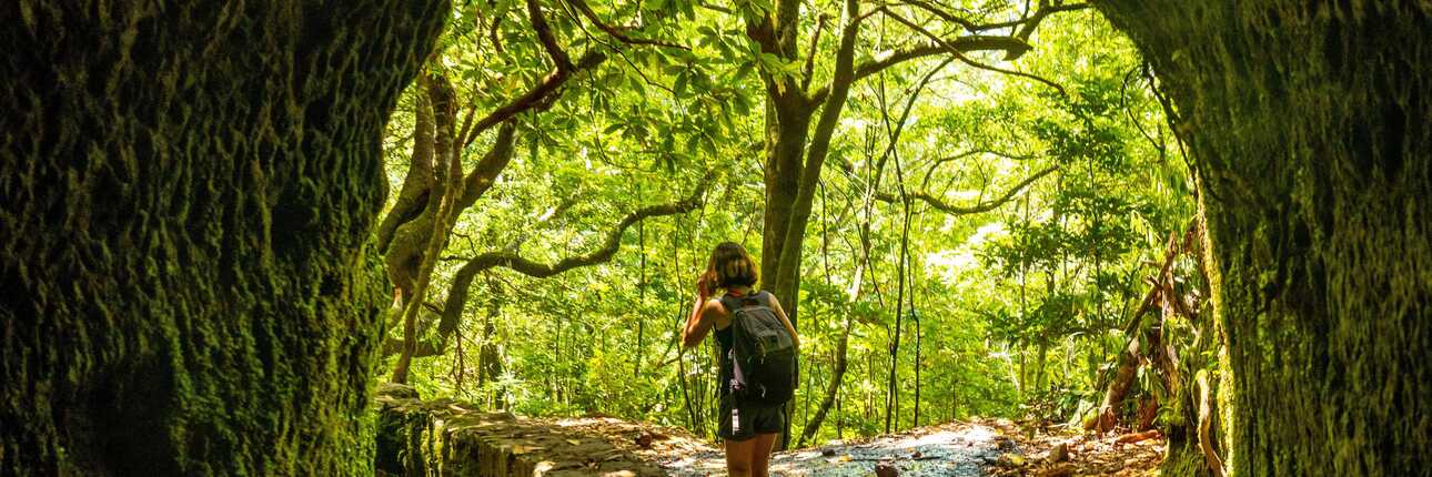 Wanderweg mit einem Tunnel im Grünen Wald zu den schönsten Wasserfällen