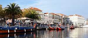Gondeln Sie durch die Lagunentadt Aveiro in Nordportugal