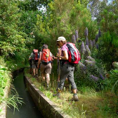 Levada-wandern-madeira-sehenswuerdigkeiten