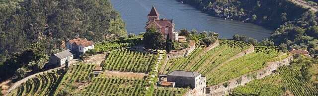 Weinprobe im Dourotal- Bild 2