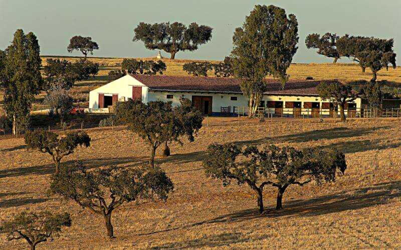 Herdade da Malhadinha
