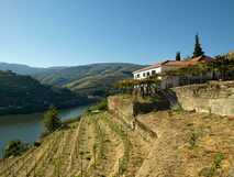 Quinta de la Rosa-Blick auf die Hotelanlage am Hang von Douro