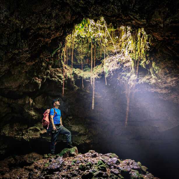 Besucher erkunden die Höhlenwelt auf Terceira. Ein Mann im Algar do Carvao, durch die Deckenöffnung scheint Sonnenlicht. Pflanzen ranken zum Boden.