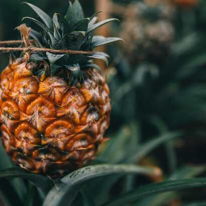 Adobestock 427275113