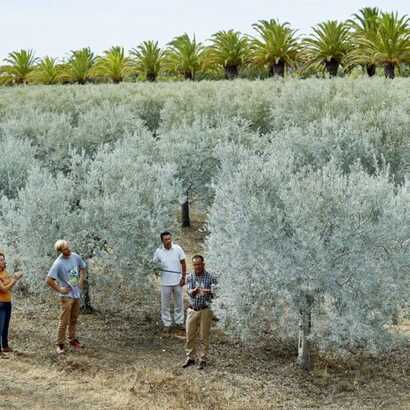 D41b22b4-0894-4bd2-837a-19880a9e8399 large