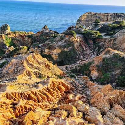 D81f1392-a02a-44fc-8d53-49cf6f9898e8 large