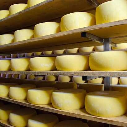 Azoren Urlaub auf Sao Jorge - kosten Sie den besten Käse bei Ihrer Azoren Rundreise mit dem Mietwagen in 21 Tagen.