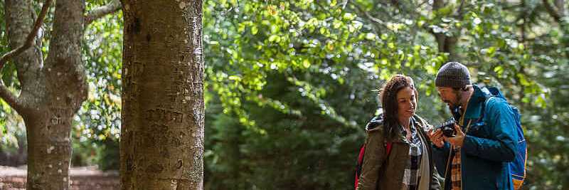 Madeira Temperaturen laden ein zum Wandern - an 365 Tagen im Jahr