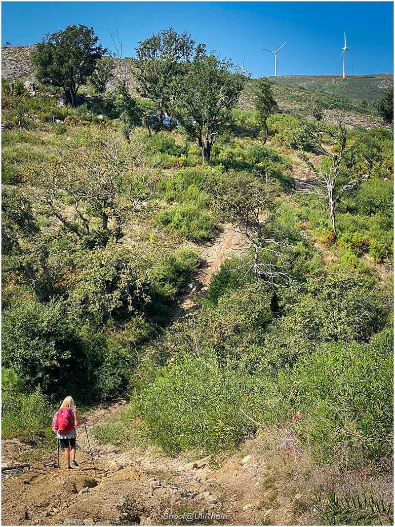 Wanderin mit rotem Rucksack auf einem schmalen Pfad in der hügeligen Natur Nordportugals, im Hintergrund Windräder.