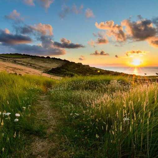 Küstenpfad durch grüne Wiesen auf der Azoreninsel Terceira im goldenen Licht der tief stehenden Sonne.