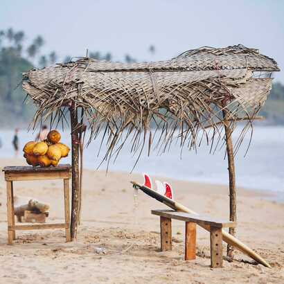 Adobestock 246445442