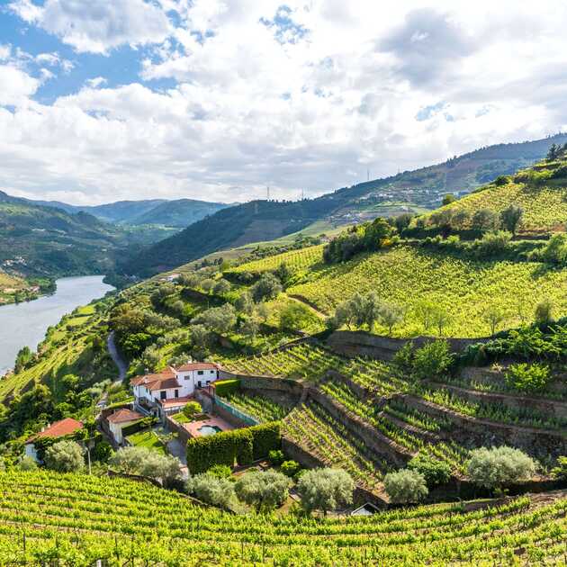 Idyllische Weinlandschaft im Dourotal
