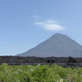 Fogo Wein auf den Kapverden