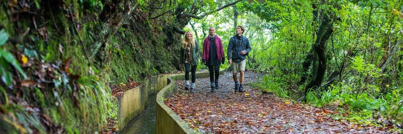 Drei Wanderer auf dem breiten Levada-Weg der Caldeirão Verde, umgeben von grüner Vegetation auf Madeira