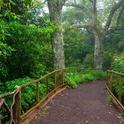 Parque-florestal-das-queimadas-9