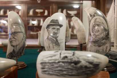Expontate aus dem Scrimshaw-Museum in Horta