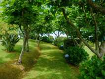 Tradicampo - Casa da Fonte auf Sao Miguel, idyllischer Gartenweg umgeben von grünen Bäumen und Blumen, perfekte Oase der Ruhe bei picotours.