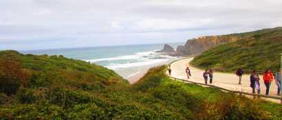 7c4ff875-15ca-4273-882e-f3e6e22afb6f large