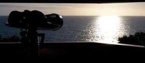 Von den Vigias (Aussichtspunkten) halten Späher nach Walen Ausschau