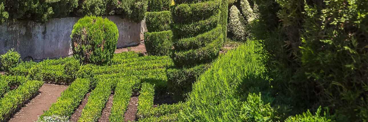 Sehenswert: Die Topiary-Ausstellung im Botanischen Garten in Funchal