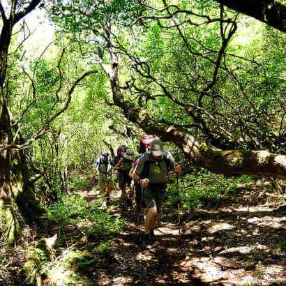 Madeira-wandern