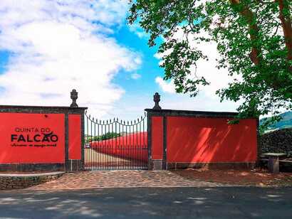 Eingangstor der Quinta do Falcão mit leuchtend roter Mauer, gepflastertem Weg und großem Baum vor blauem Himmel