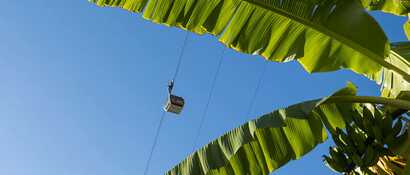Eine Seilbahn bringt Sie nach Achadas da Cruz bei Calheta auf Madeira