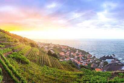 Madeira Wein