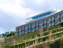 Außenbereich mit Weinbergen im Frühling im Delfim Douro Hotel