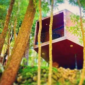 Hotel-caparica-ecolodge-baumhaus-natur