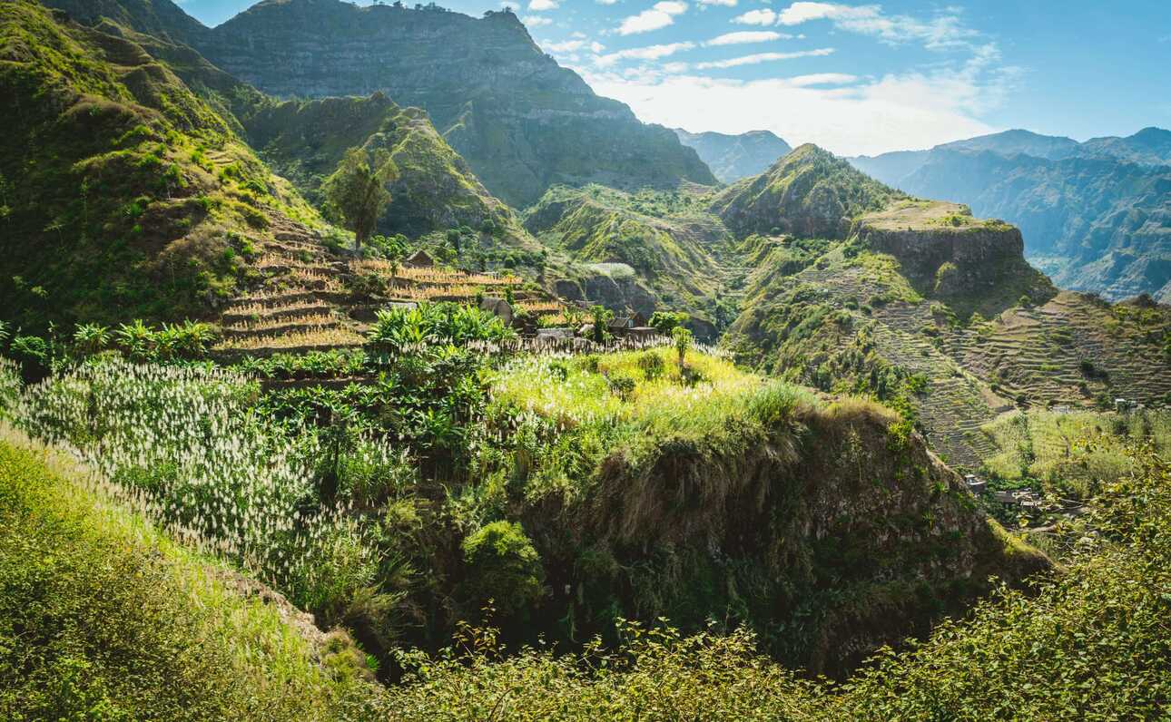 Üppig grüne Terrassenfelder in den Bergen von Santo Antão auf den Kapverden bei mildem Klima.