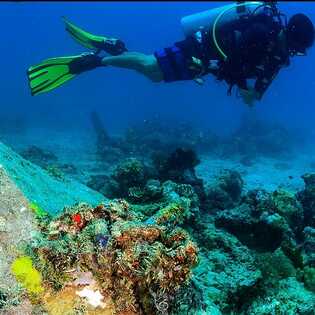 Tauchen-schnorcheln-terceira-wrack