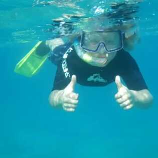 9545279c-7bde-4de8-949d-913ae5b0ea24 large