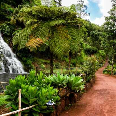 Naturparadies mit Wasserfall und üppiger Vegetation – entdecken Sie die faszinierenden Wanderwege mit picotours!