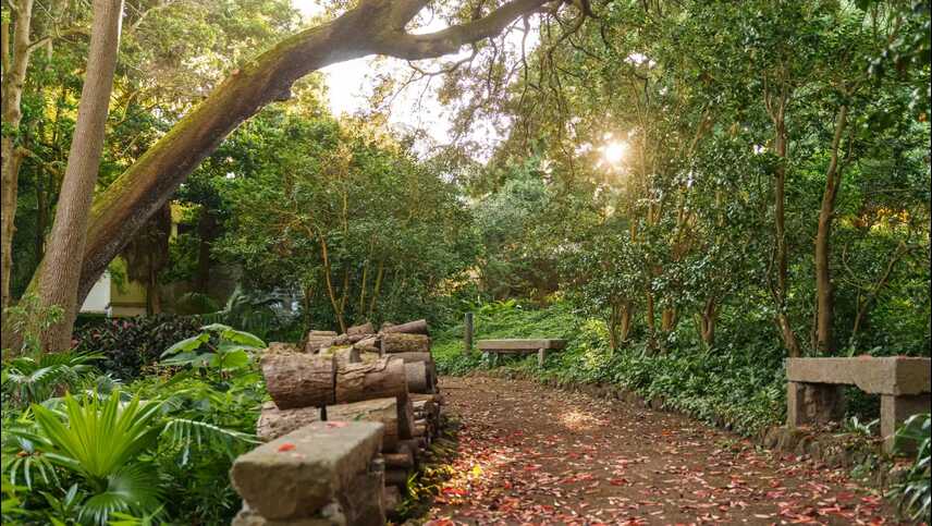 Solar-do-cantos-gartenweg-sonne