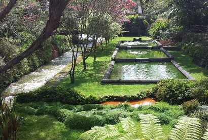 Landschaft en miniature im Terra Nostra Park in Furnas