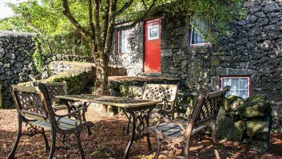 Hmyvp1r0qv9wcfdecvx1