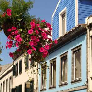 Hotel-apartamentos-kosmos-fassade-blumen