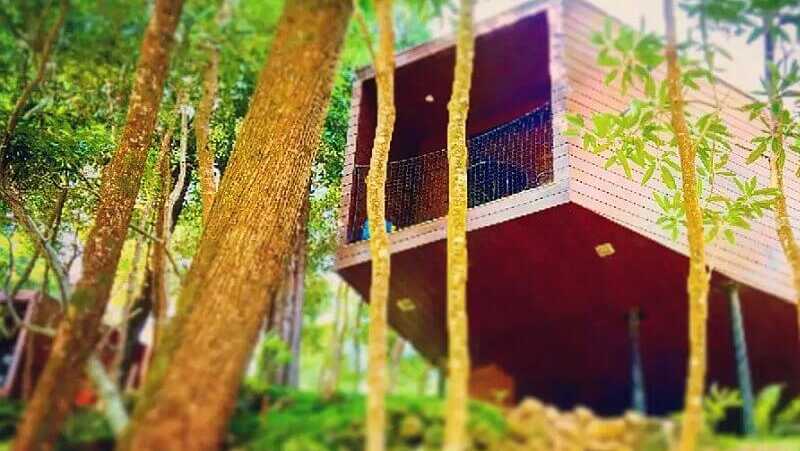 Hotel-caparica-ecolodge-baumhaus-natur