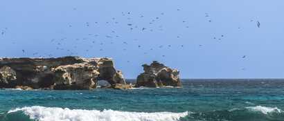 Ilheu de curral velho 002 623356536f