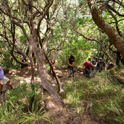 Adobestock 152146512