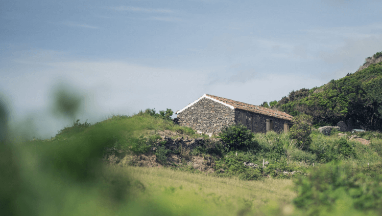 Aussenansicht-huette