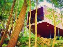 Moderne, erhöhte Holzhütte der Caparica Ecolodge inmitten eines dichten Waldes auf São Jorge – nachhaltiges Wohnerlebnis in der Natur