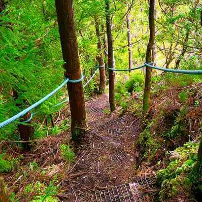 Wanderung-rocha-do-chambre-terceira-pfad