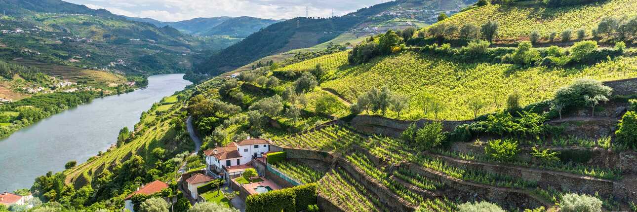 Wein im Dourotal in Portual
