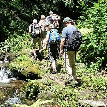 Faial-da-terra-dschungelwanderung-bach