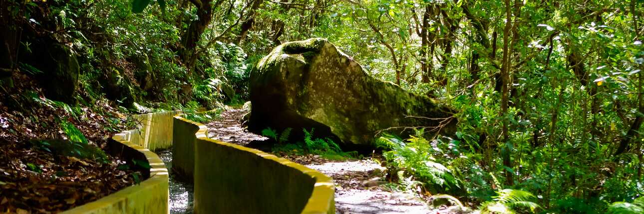 Idylle pur: Wandern entlang der Levada do Norte auf Madeira