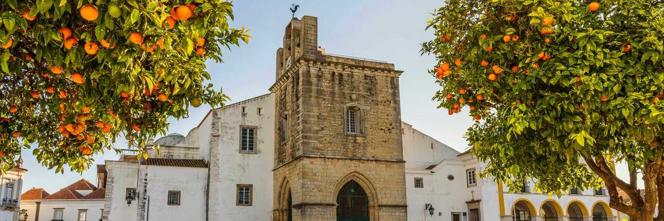 Sommer in Portugal - Saftige Orangen wachsen an den Bäumen