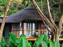 Bom Bom Resort auf der Insel Principe, idyllische Lodge mitten im tropischen Regenwald mit naturnahem Ambiente – perfekter Rückzugsort für Natur- und Ruhegenießer.