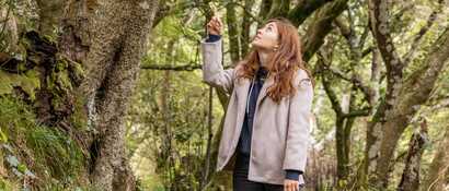 Wanderung-lagoa-do-fogo-lorbeerwald